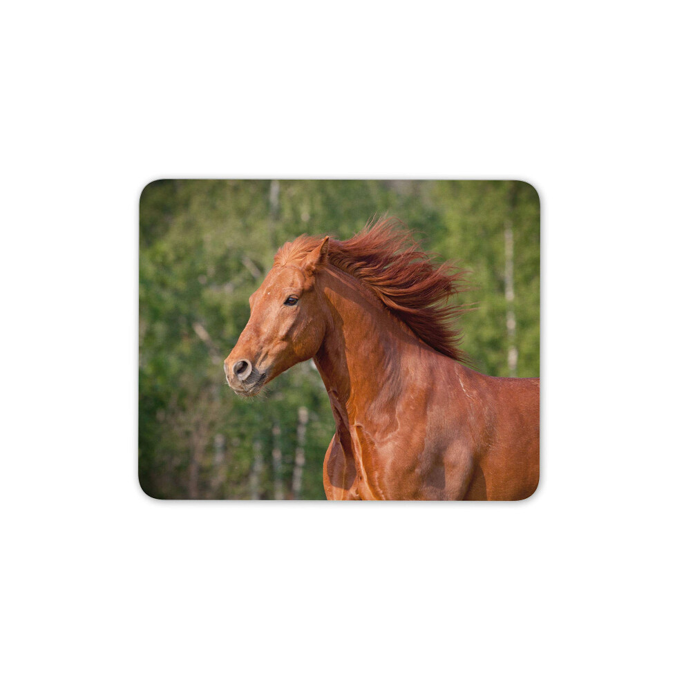 Destination Vinyl Ltd Magnificent Running Horse Mouse Mat Pad - Equine Lover Computer #15738 7625847259102