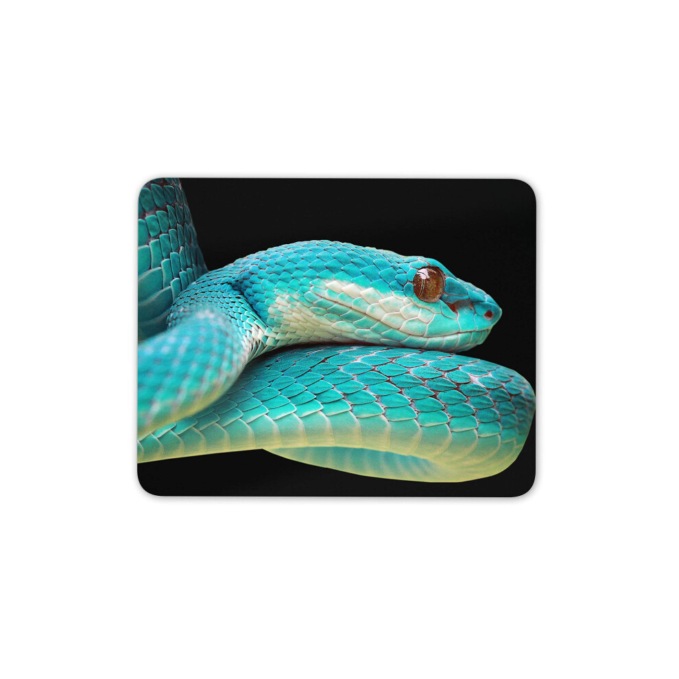 Destination Vinyl Ltd Viper Snake Mouse Mat Pad - Jungle Reptile Computer #15896 Blue/Turquoise 7625836514755