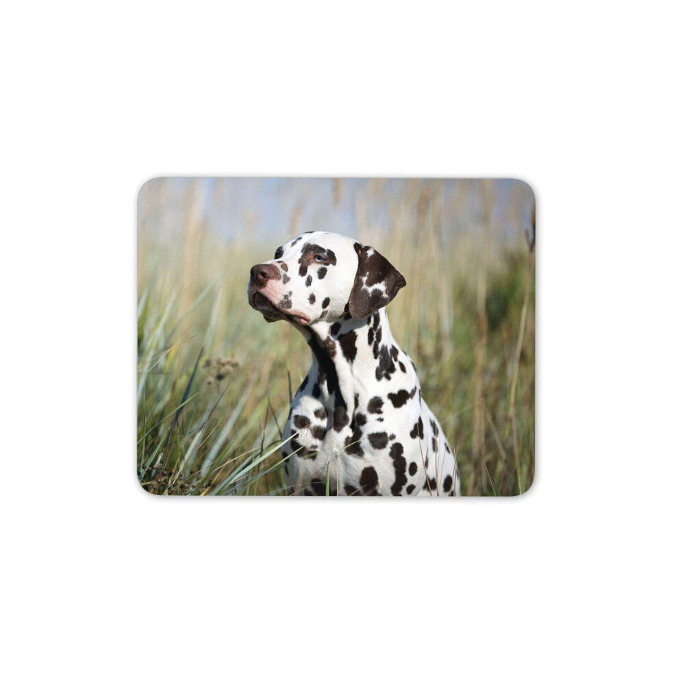 Beautiful Dalmatian Dog Mouse Mat Pad - Puppy Cute Spots Computer #15870 7625834008942