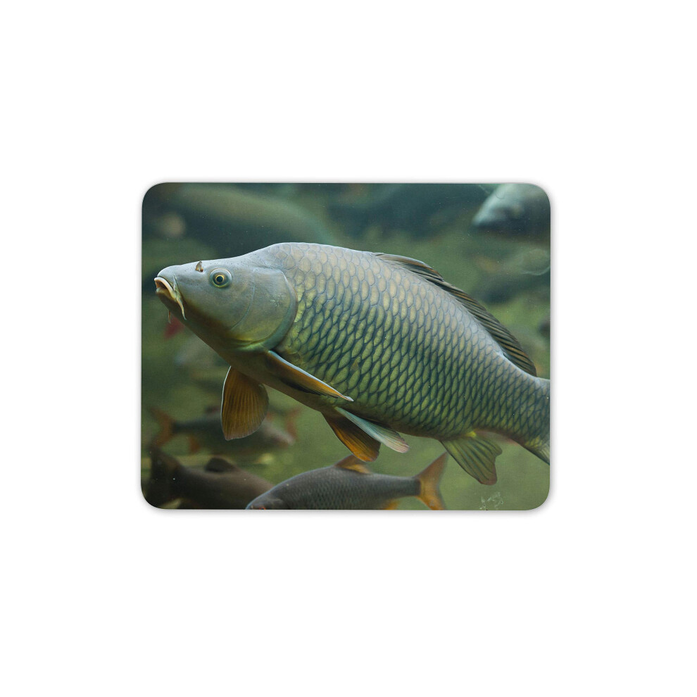 Destination Vinyl Ltd Wild Common Carp Fishing Mouse Mat Pad - Angling Fresh Fun Computer #15753 7625844243203