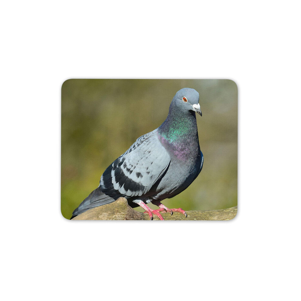 Destination Vinyl Ltd Funky Pigeon Mouse Mat Pad - Ornithology Twitcher Fun Computer #15752 Grey 7625828061359