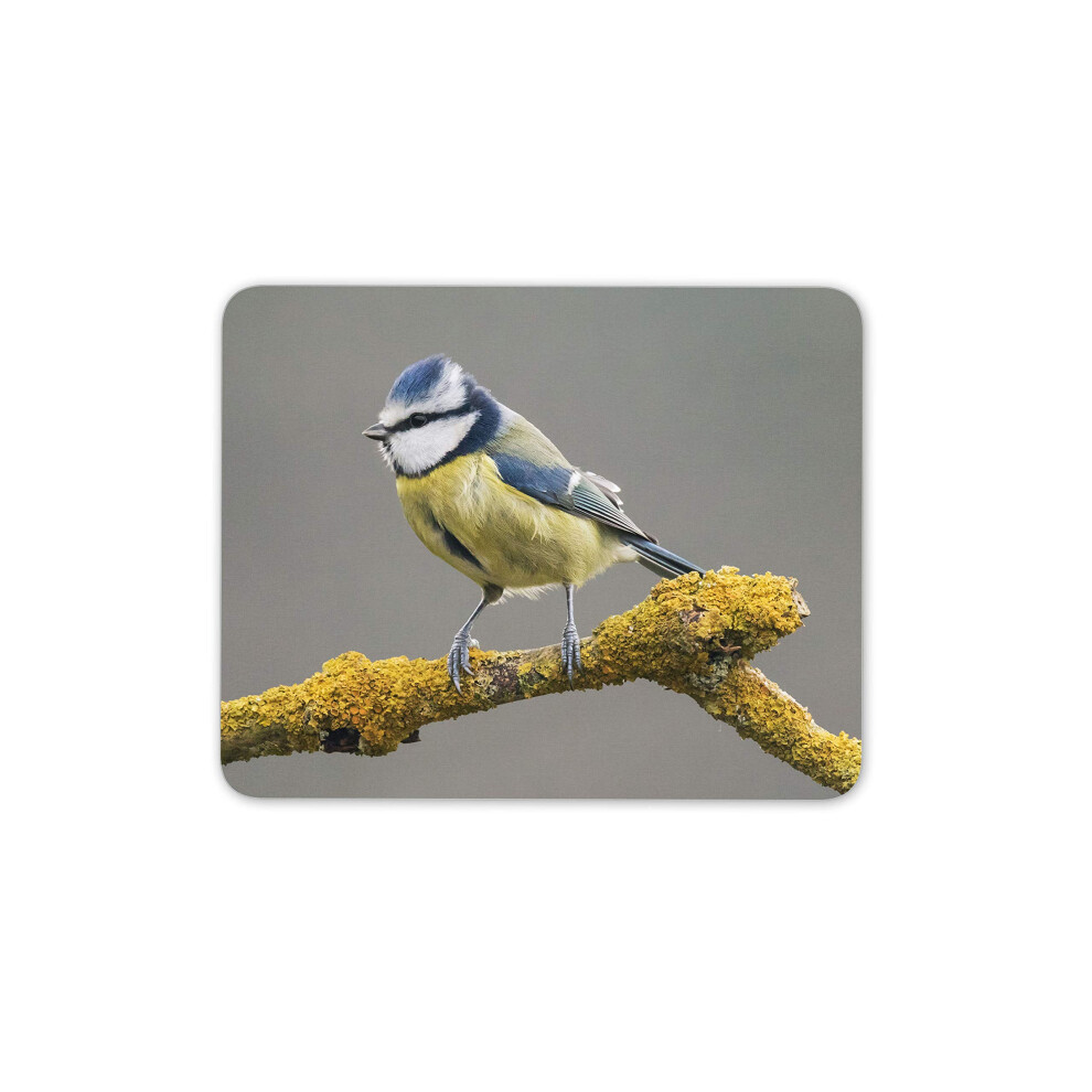 Destination Vinyl Ltd Tit Bird Watching Mouse Mat Pad - Cute Wildlife Fun Computer #16226 Blue 7625825190267