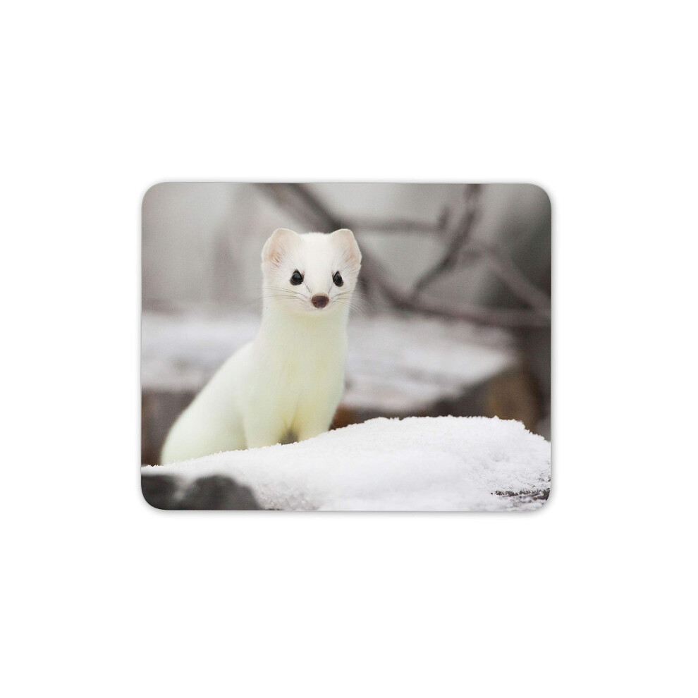 Short Tailed Weasel Arctic Adorable Animal Mouse Mat Pad - Computer #16302 7625828837091