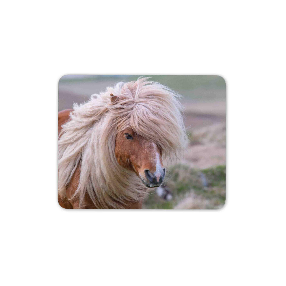 Destination Vinyl Ltd Cute Shetland Pony Mouse Mat Pad - Horse Ponies Wild Pretty Computer #15992 7625836224265