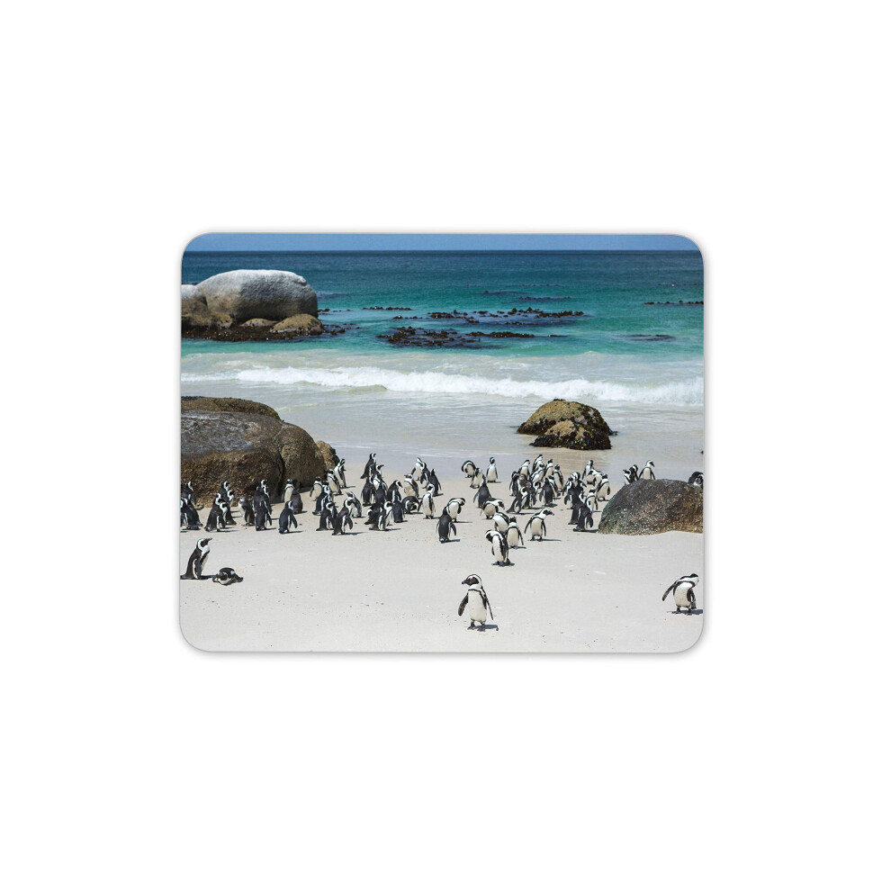 Destination Vinyl Ltd Boulders Penguin Colony Mouse Mat Pad - Cape Town Africa Computer #16260 7625836628575