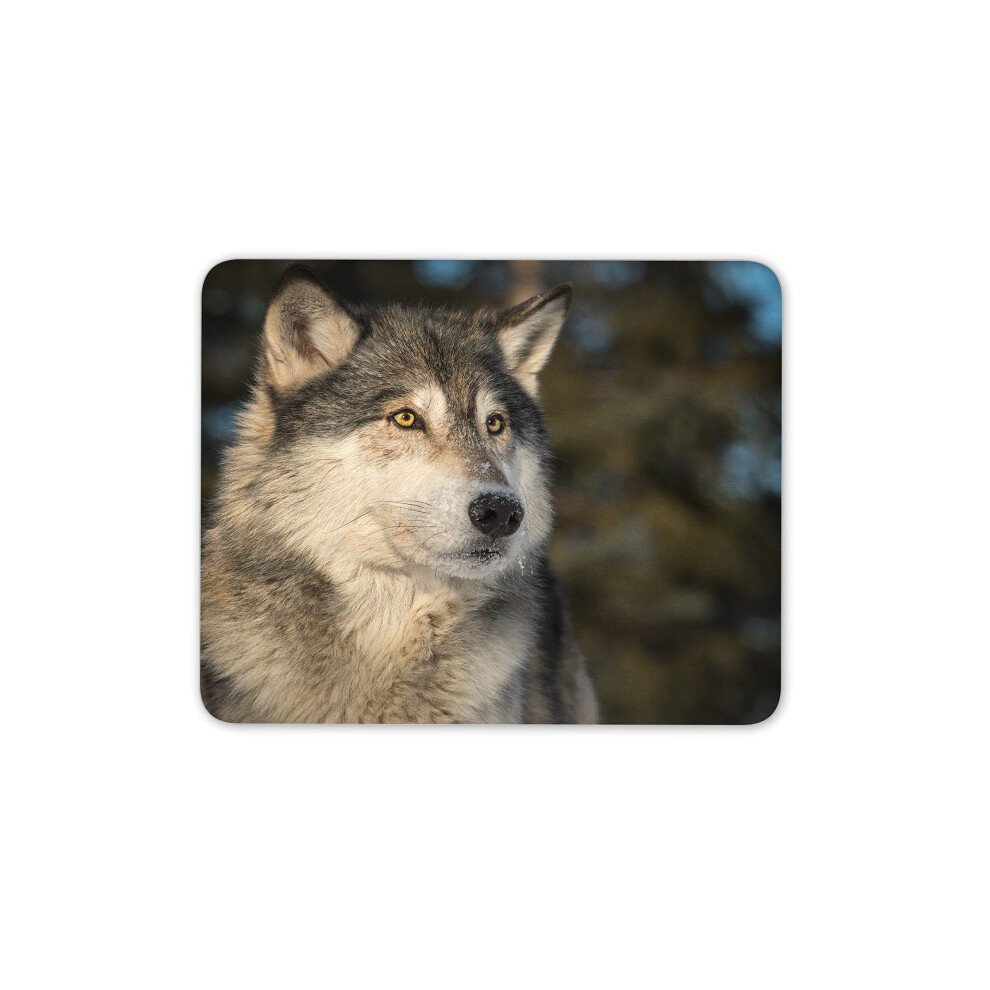 Husky Wolf Forest Animal Mouse Mat Pad - Wild Dog His Hers #16948 Brown 7625820325855