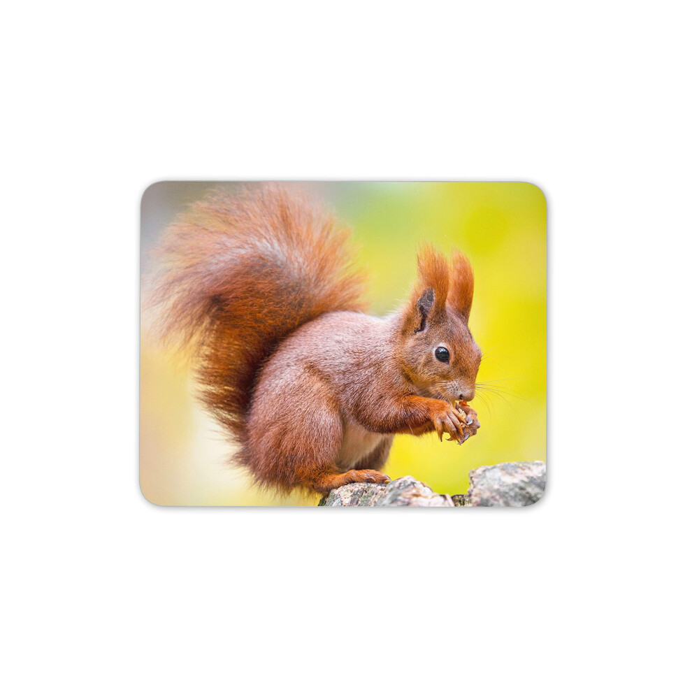Destination Vinyl Ltd Squirrel Cute Little Forest Rodent Mouse Mat Pad - English Wild #16976 Red 7625834532324
