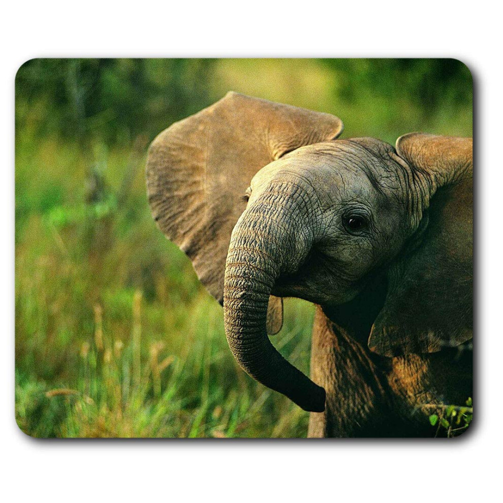 Baby Elephant Wild Animal Mouse Mat Pad Computer Pc Laptop Gaming Office Home Desk Accessory Gadget 13014 7625998606978