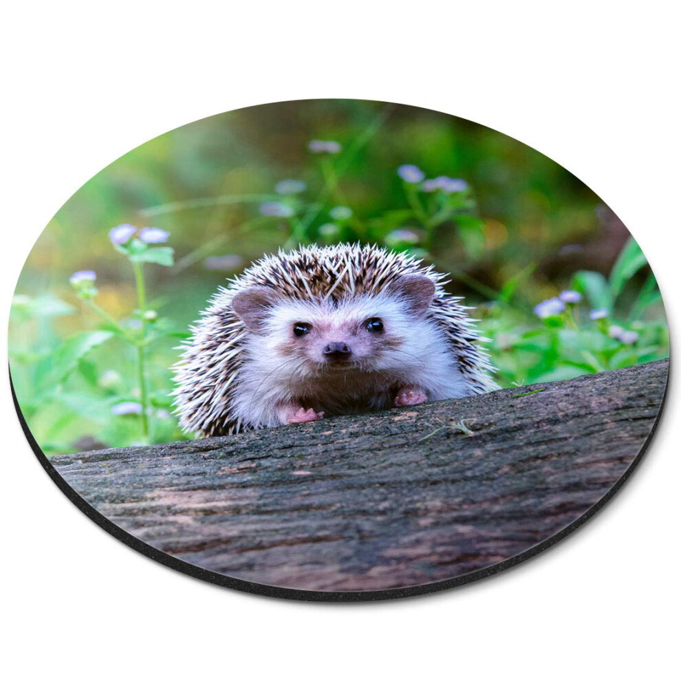 Destination Vinyl Ltd Cute Cheeky Hedgehog Garden - Flexible Round 5Mm Rubber Mouse Mat Pad Office Home Novelty Printed Desk Accessory 14322 7626000387229