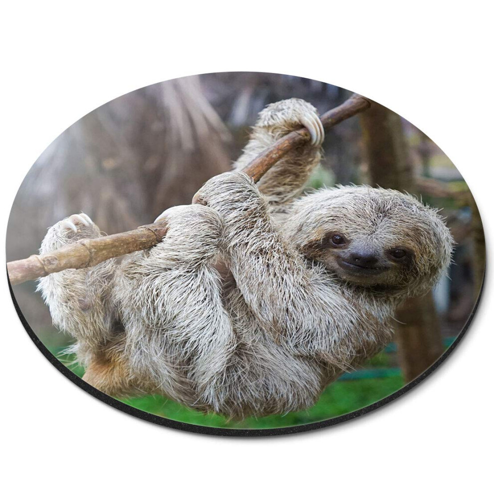Baby Sloth Lazy Animal - Flexible Round 5Mm Rubber Mouse Mat Pad Office Home Novelty Printed Desk Accessory 13048 7626000336951