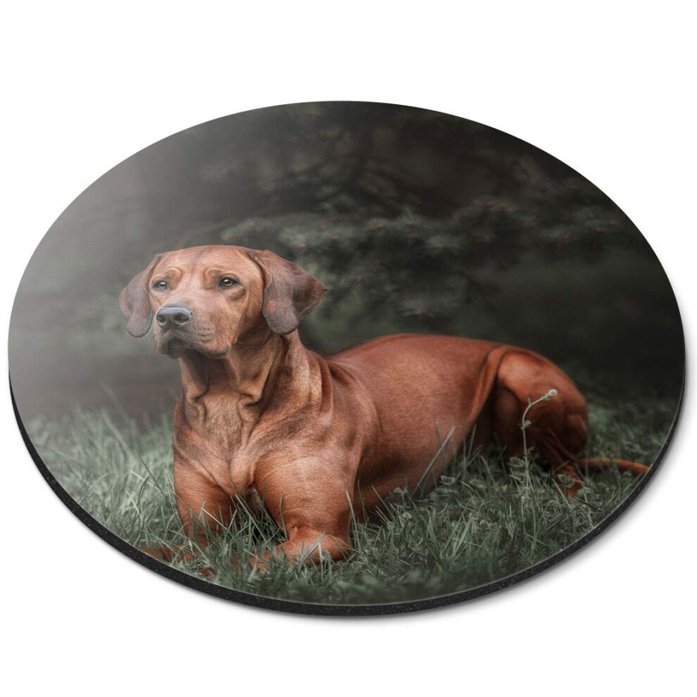 Destination Vinyl Ltd Rhodesian Ridgeback Dog - Flexible Round 5Mm Rubber Mouse Mat Pad Office Home Novelty Printed Desk Accessory 16679 7626000514298