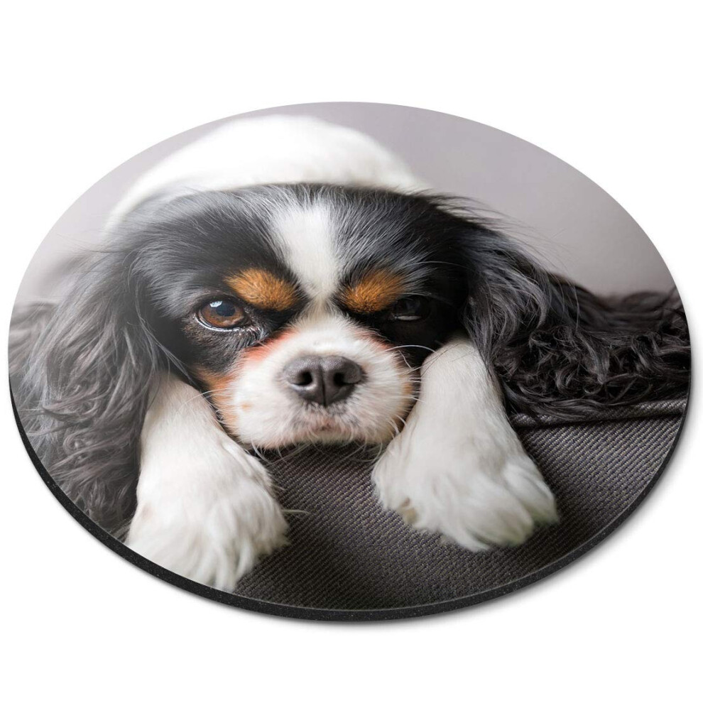 Destination Vinyl Ltd Cavalier King Charles Spaniel Dog - Flexible Round 5Mm Rubber Mouse Mat Pad Office Home Novelty Printed Desk Accessory 12388 7626000283088