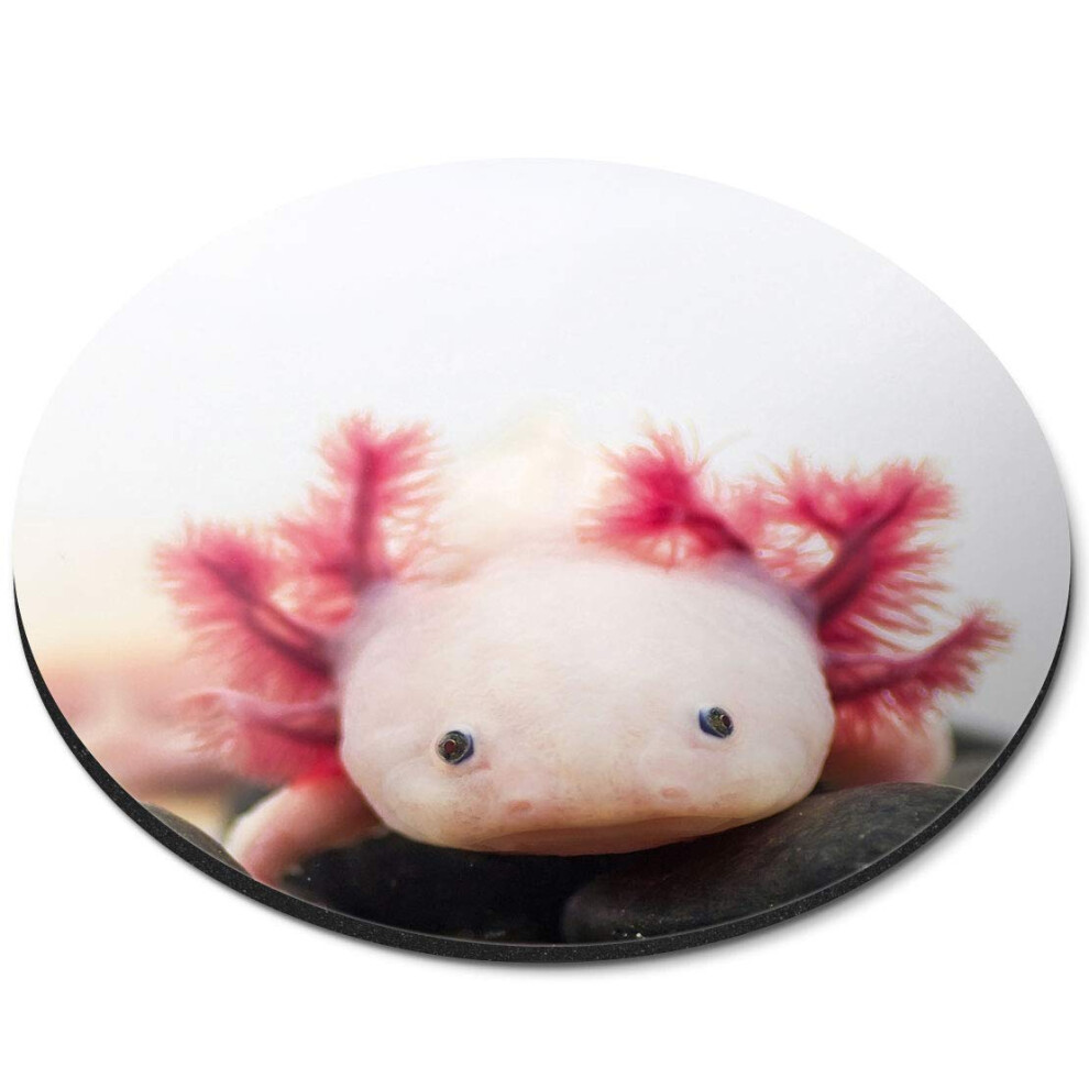 Destination Vinyl Ltd Axolotl Aquarium Dragon Fish - Flexible Round 5Mm Rubber Mouse Mat Pad Office Home Novelty Printed Desk Accessory 3066 7626000632244