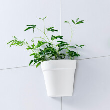 Wall Mounted Planter Plastic Half Circle Adhesive Plant Pot for Indoor Outdoor Small Spaces Decor