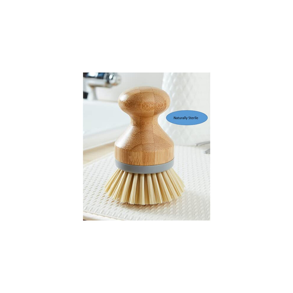 Addis Palm Dish Brush With Natural Bamboo Natural Wood 67 X 67 X 9 Cm 517683 Grey