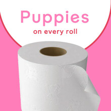 Andrex Family Soft Toilet Roll 72 Toilet Rolls 2Ply Bulk Buy Fragranc