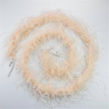 (Champagne) 2yards /lot Ostrich Feather Boa Decor For Clothes Holiday Decorations Fluffy Feathers Cape Handicraft Accessories Plumas Trims