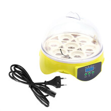 Incubatrice digitale, controllo automatico della temperatura, sistema di microincubazione compatibile con uova di gallina e anatra, design c