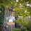 Peckish Peckish Window Bird Feeder Globe Suction 5