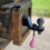 Funny Trailer Hitch Cover, 2024 New 3D Tiny Hitch with Tiny Nuts Trailer Hook Cover with Tiny Nuts Hook Cover 1Pcs 3