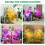 Adjustable LED Grow Lights with Tripod Stand, Full Spectrum, Remote Control, and Timer for Indoor Plants 7