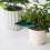 Funil para regar vasos de plantas DESIGN, compatível com diversos modelos. 3