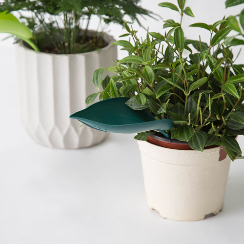 Funil para regar vasos de plantas DESIGN, compatível com diversos modelos. 2