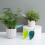 Funil para regar vasos de plantas DESIGN, compatível com diversos modelos. 4