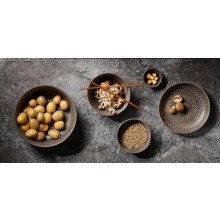 ASA Poké Fusion Bowl Mangosteen 400ml Ø14,5cm