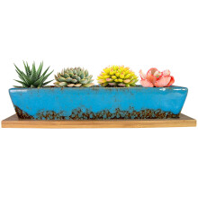 ARTKETTY 25cm Ceramic Succulent Plant Pots, Modern Long Rectangle Flower Plant Containers with Tray, Shallow Cactus Bonsai Window Box with Drainage