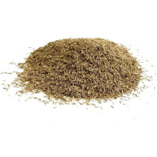 Shady Area Lawn 1.25Kg Seed Grass Shade (Covers 33 Square metres) XLH