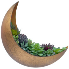 AERLO Wall Mounted Metal Moon Planter - Hanging Crescent Pot for Succulents, Air Plants, Cacti - Boho Indoor Outdoor Moon Wall Decor for Bedroom,
