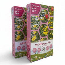 Pretty Wild Seeds Wildflower Scatter Boxes | 2x50m2 Twin Pack, 100m2 Coverage | Wildflower Seed Mix Attracts Bees and Butterflies UK Pollinators