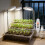 3.5 Inch LED Plant Light Featuring 10 Level Dimming 3 Spectrum 5