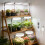 3.5 Inch LED Plant Light Featuring 10 Level Dimming 3 Spectrum 7