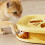 Sound Combination Interactively Cats Play Toy for Mental-Yellow 6