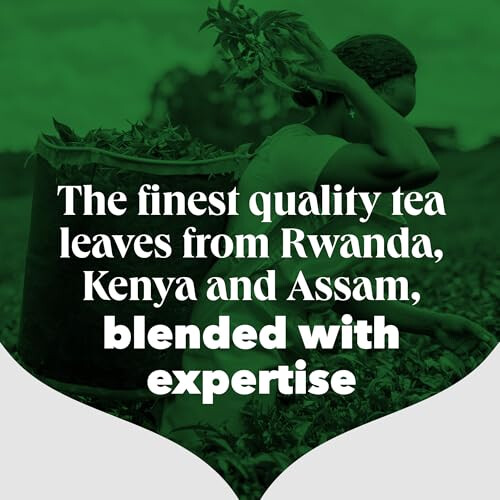 PG Tips PG Tips Loose Black Tea 250g, Refreshing And Flavourful Blend 2