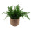 Leaf Leaf Ceramic Indoor Cachepot Planters, 12.5cm Dusty Pink 5