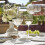 Freixenet Italian Still Wine Pinot Grigio, 4