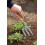 Spear & Jackson Spear & Jackson 4094KEW Kew Gardens Collection Neverbend Carbon Weed Fork 5" Handle 2