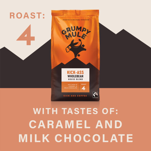 Grumpy Mule Kick 1