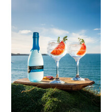 Tarquin’s Cornish Dry Gin AwardWinning Fresh Juniper Bright Citrus