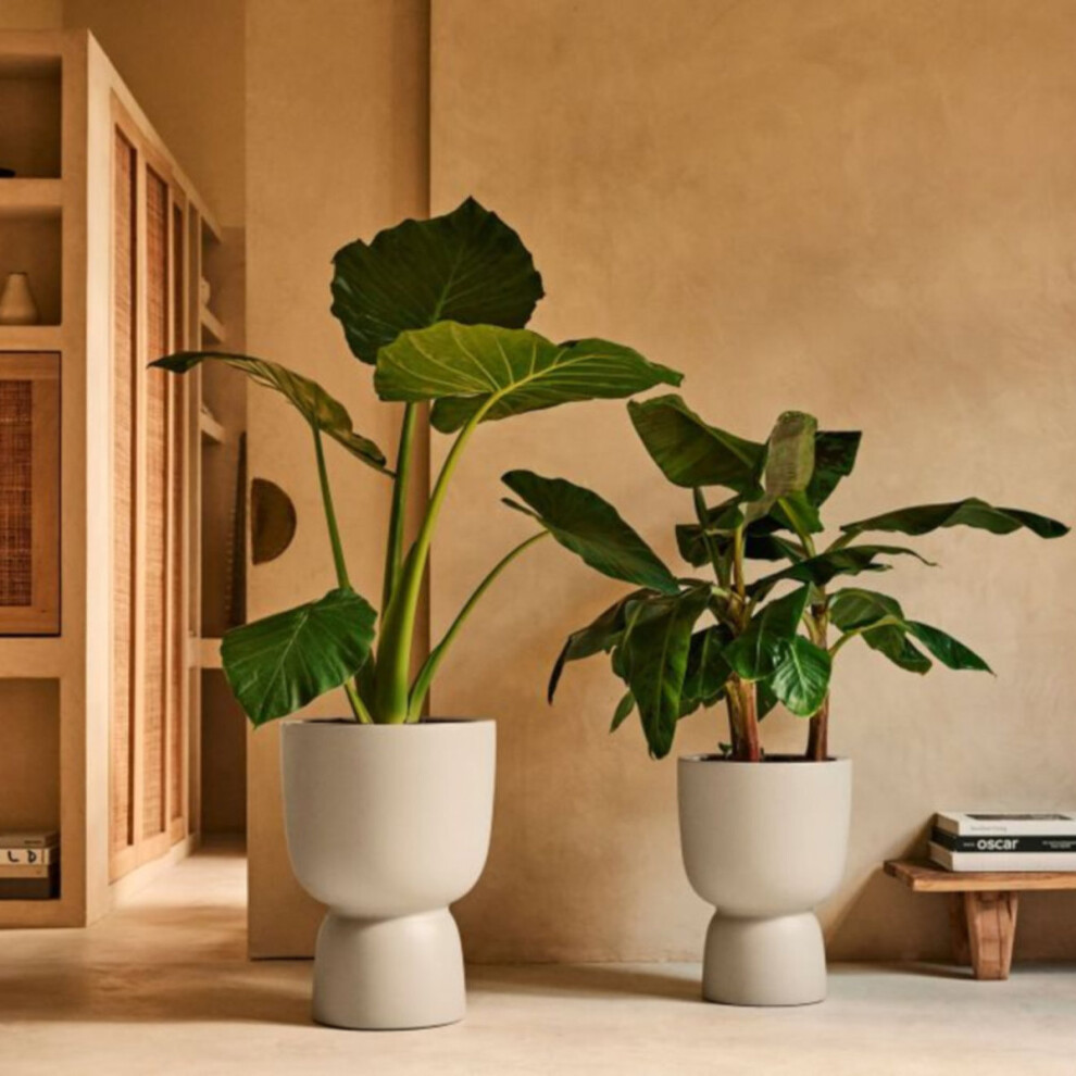 Charles Bentley Elho Coupe Round 35 - Plant Pot For Indoor & Outdoor - 100% Recycled Plastic - 34.9X49.0cm Amber
