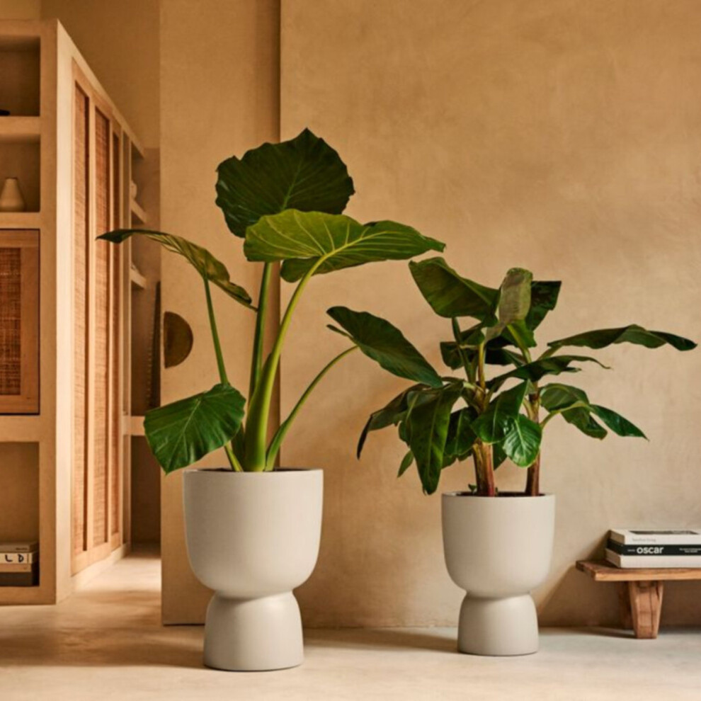 Charles Bentley Elho Coupe Round 35 - Plant Pot For Indoor & Outdoor - 100% Recycled Plastic - 34.9X49cm Amber