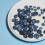 SPROUD  PlantBased Milk Zero Sugar Low Carb High Protein Long Life Powered 3
