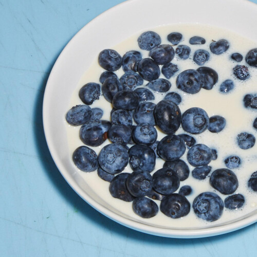 SPROUD  PlantBased Milk Zero Sugar Low Carb High Protein Long Life Powered 2