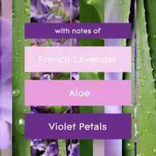 Glade Air Freshener Aerosol Room Spray Eucalyptus Lavender Pack of 12