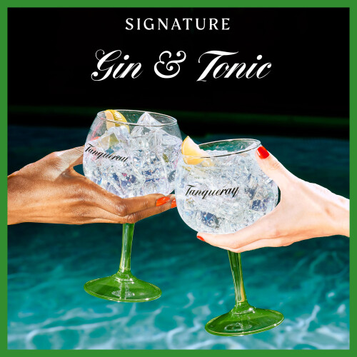 Tanqueray London Dry Gin | 41.3% vol | 1L | Award-Winning Premium 2
