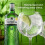GordonÃâ‚â„s London Dry Gin 1L 4