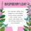 Heath & Heather Organic Raspberry Leaf Tea, 20 Bags, Caffeine-Free 4